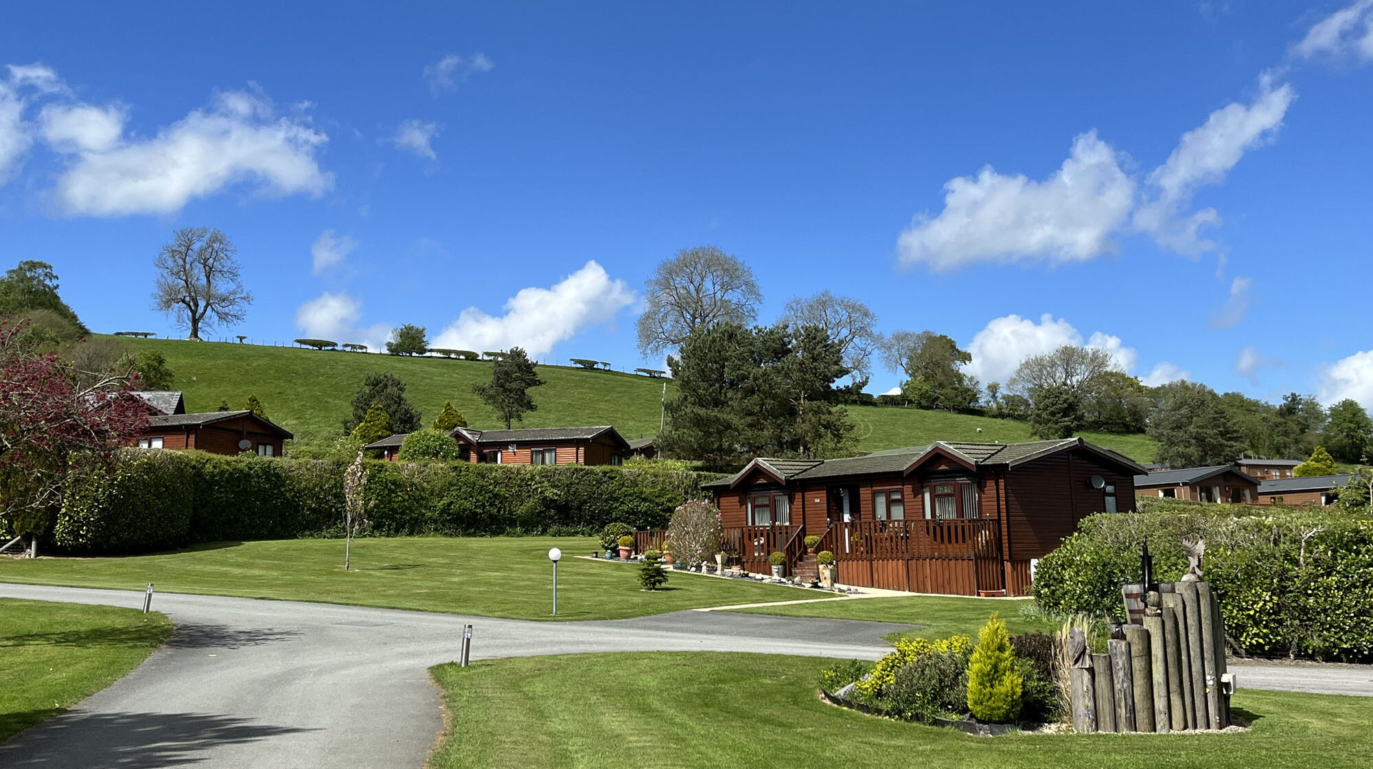 Buy vs Hire at Oakwood Valley