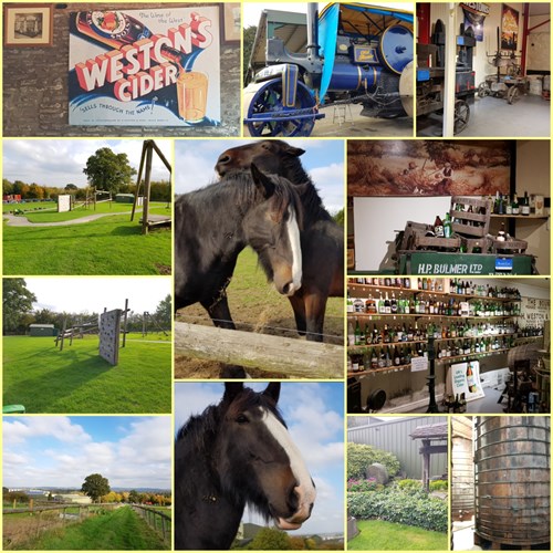 Enjoy A Day Out At Weston’s Cider Tour
