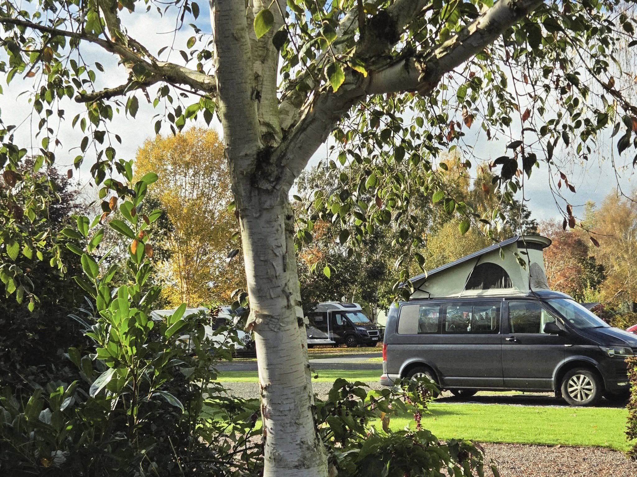 Special Offers are Back!